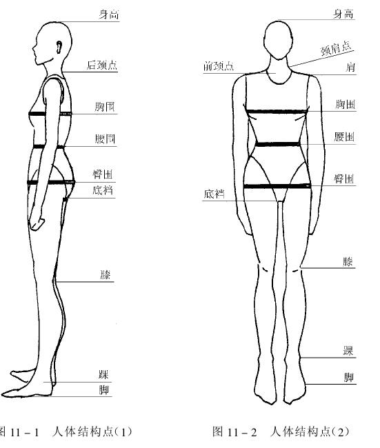 工作服尺寸測量